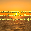 Происхождение, значение и склонение фамилии Вольников: история одной русской фамилии