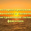 Пурен: история происхождения, значения и наиболее распространенные склонения фамилии