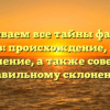 Раскрываем все тайны фамилии Мезинов: происхождение, история и значение, а также советы по правильному склонению