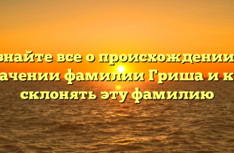 Узнайте все о происхождении и значении фамилии Гриша и как склонять эту фамилию