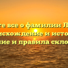 Узнайте все о фамилии Ледина: происхождение и история, значение и правила склонения.