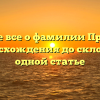 Узнайте все о фамилии Прочухан: от происхождения до склонения в одной статье