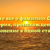 Узнайте все о фамилии Садоха: история, происхождение и склонение в одной статье