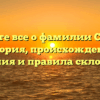 Узнайте все о фамилии Строна: история, происхождение, значения и правила склонения.