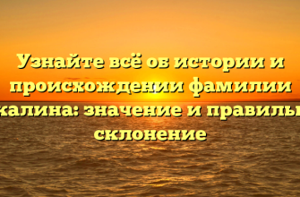 Узнайте всё об истории и происхождении фамилии Бакалина: значение и правильное склонение Узнайте всё об истории и происхождении фамилии Бакалина: значение и правильное склонение