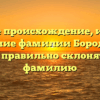Узнайте происхождение, историю и значение фамилии Бородавкина и как правильно склонять эту фамилию
