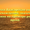 Фамилия Аджарская: история происхождения, значение и склонение на примере родового древа
