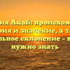 Фамилия Акай: происхождение, история и значение, а также правильное склонение – все, что нужно знать