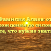 Фамилия Алков: от происхождения до склонения — все, что нужно знать!