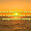 Фамилия Амести: история, значение и правильное склонение – подробный обзор