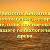 Фамилия Аминина: происхождение, история и значение, плюс полное склонение для вашего генеалогического древа