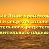 Фамилия Анав: происхождение, история и секреты склонения для именительного, родительного и винительного падежей.