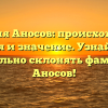 Фамилия Аносов: происхождение, история и значение. Узнайте, как правильно склонять фамилию Аносов!