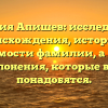 Фамилия Апишев: исследование происхождения, истории и значимости фамилии, а также склонения, которые вам понадобятся.