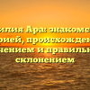 Фамилия Ара: знакомство с историей, происхождением, значением и правильным склонением