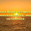 Фамилия Асад: исторический обзор происхождения, значения и склонения