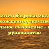 Фамилия Багрова: история происхождения, значимость и правильное склонение – полное руководство