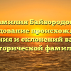 Фамилия Байбородова: исследование происхождения, значения и склонений важной исторической фамилии