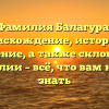 Фамилия Балагура: происхождение, история и значение, а также склонение фамилии – всё, что вам нужно знать