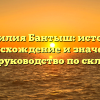Фамилия Бантыш: история, происхождение и значение, полное руководство по склонению