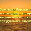 Фамилия Баракин: происхождение, история и значение фамилии + склонение для русского языка