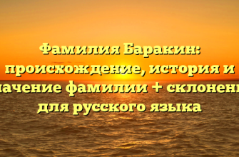 Фамилия Баракин: происхождение, история и значение фамилии + склонение для русского языка