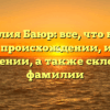 Фамилия Баюр: все, что нужно знать о происхождении, истории и значении, а также склонение фамилии
