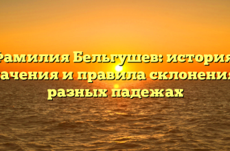 Фамилия Бельгушев: история, значения и правила склонения в разных падежах