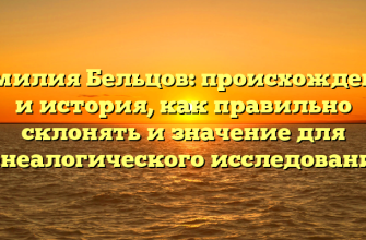 Фамилия Бельцов: происхождение и история, как правильно склонять и значение для генеалогического исследования