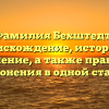 Фамилия Бехштедт: происхождение, история и значение, а также правила склонения в одной статье