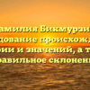 Фамилия Бикмурзин: исследование происхождения, истории и значений, а также правильное склонение