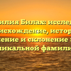 Фамилия Билах: исследуем происхождение, историю, значение и склонение этой уникальной фамилии