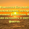 Фамилия Бичевой: происхождение, история и значение фамилии. Как правильно склонять и интересные факты.