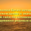 Фамилия Богач: история, происхождение и значение, полный гайд по склонению для исследования родовых связей