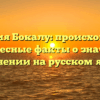 Фамилия Бокалу: происхождение и интересные факты о значении и склонении на русском языке