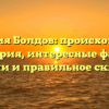 Фамилия Болдов: происхождение и история, интересные факты о значении и правильное склонение