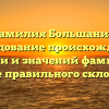 Фамилия Большанин: исследование происхождения, истории и значений фамилии, а также правильного склонения