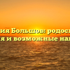 Фамилия Большов: родословная, значения и возможные написания