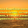 Фамилия Борейша: исследуем происхождение, историю и значение, а также узнаем как правильно склонять!