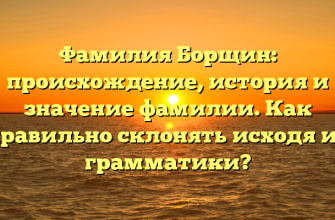 Фамилия Борщин: происхождение, история и значение фамилии. Как правильно склонять исходя из грамматики? Фамилия Борщин: происхождение, история и значение фамилии. Как правильно склонять исходя из грамматики?