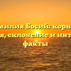 Фамилия Босий: корни и значения, склонение и интересные факты