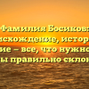 Фамилия Босиков: происхождение, история и значение — все, что нужно знать, чтобы правильно склонять!