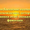Фамилия Босинзон: исследование происхождения, истории и склонения этой уникальной фамилии