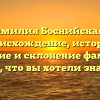 Фамилия Боснийская — происхождение, история, значение и склонение фамилии: все, что вы хотели знать!