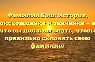 Фамилия Бош: история, происхождение и значение — все, что вы должны знать, чтобы правильно склонять свою фамилию