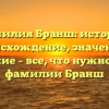 Фамилия Бранш: история, происхождение, значение и склонение – все, что нужно знать о фамилии Бранш