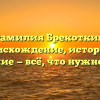 Фамилия Брекоткин: происхождение, история и значение — всё, что нужно знать