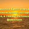 Фамилия Брит: изучаем происхождение, историю и значения, а также склонения этой фамилии