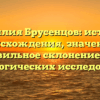 Фамилия Брусенцов: история происхождения, значение и правильное склонение для генеалогических исследований.