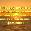 Фамилия Брускова: история происхождения, значение и правильное склонение – все о традициях и наследии этой фамилии